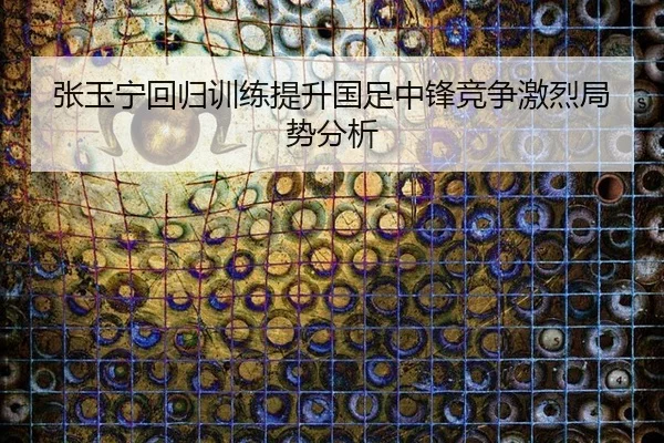 zhang-yu-ning-hui-gui-xun-lian-ti-sheng-guo-zu-zhong-feng-jing-zheng-ji-lie-ju-shi-fen-xi-2-932.jpg